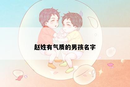 赵姓有气质的男孩名字